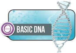 Basic-DNA